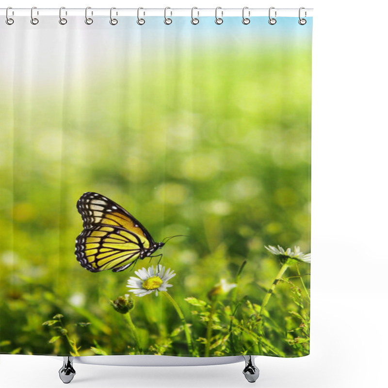 Personality  Butterfly Shower Curtains