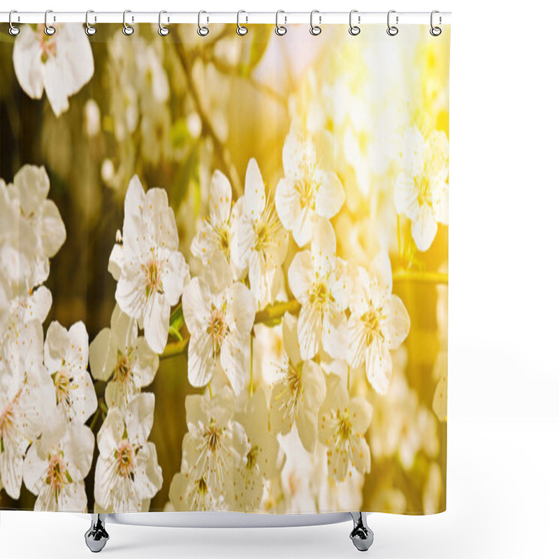 Personality  Beautifully Blossoming Tree Branch. Cherry - Sakura And Sun With Shower Curtains