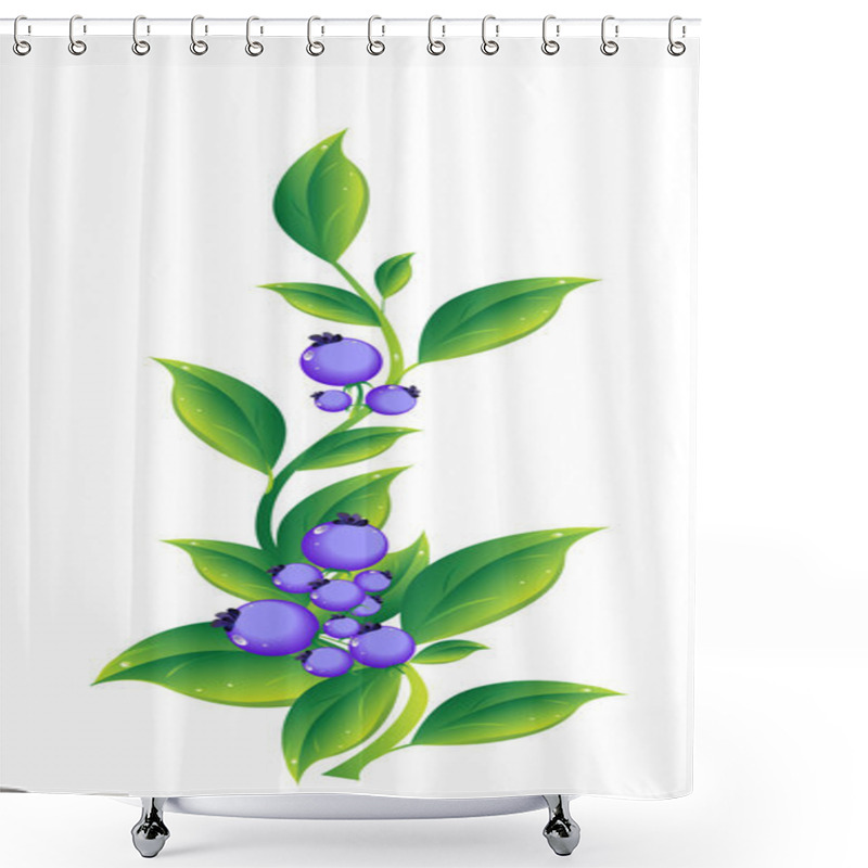 Personality  Berries Shower Curtains