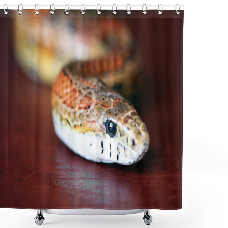 Personality  An Orange Corn Snake On Red Leather Shower Curtains