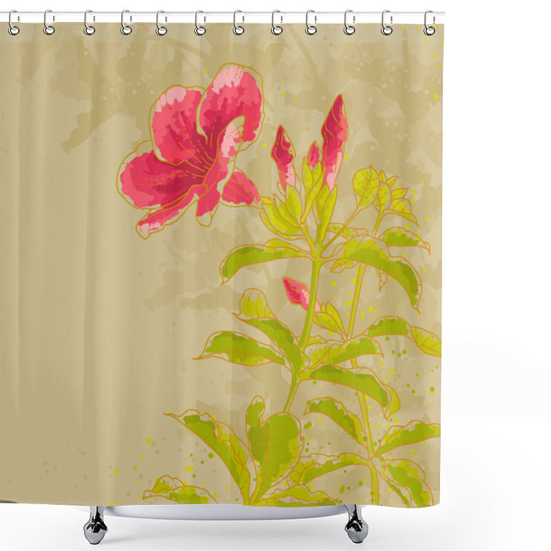 Personality  Allamanda Flower On Toned Background Shower Curtains