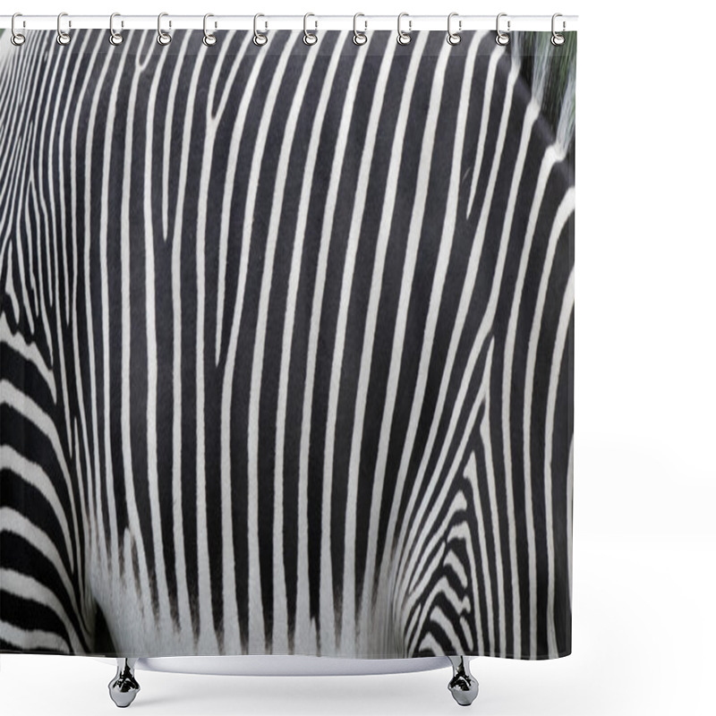 Personality  Zebra Skin Background Shower Curtains