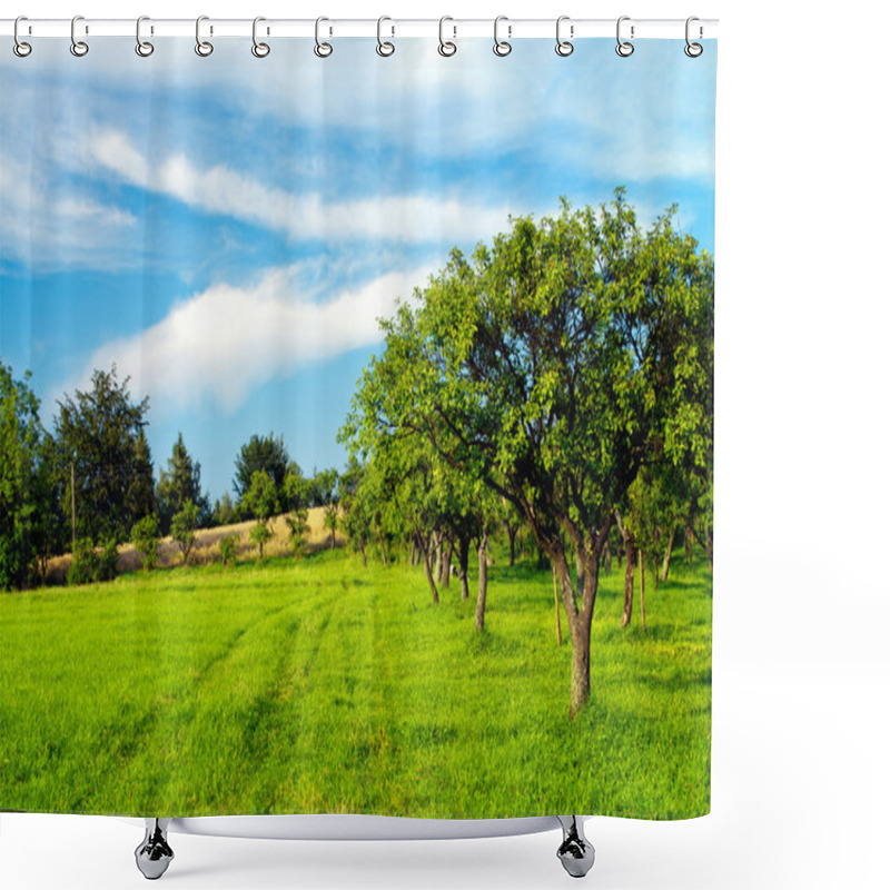 Personality  Apple Orchard On Blue Sky Shower Curtains