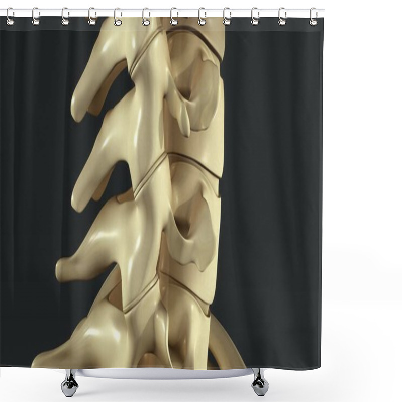 Personality   Synovial Joints Close Up  Shower Curtains