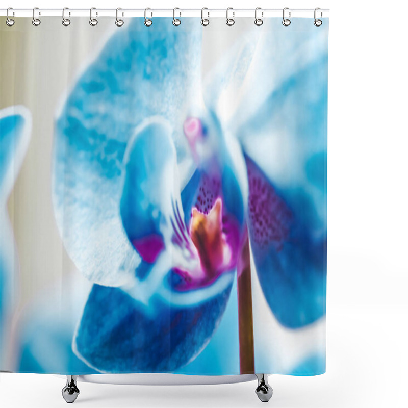 Personality  Orchid Flower In Bloom, Abstract Floral Blossom Art Background,  Shower Curtains