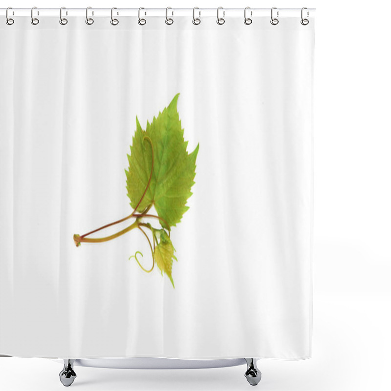 Personality  Natural Green Grape Leaves With Veins On A White Background Shower Curtains