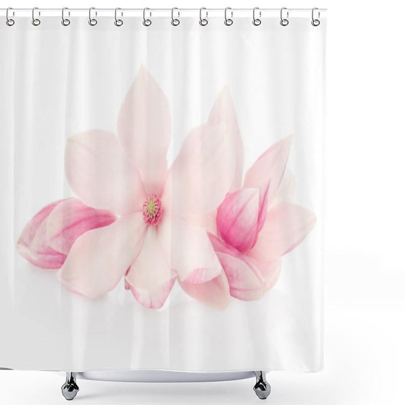 Personality  Magnolia, Pink Spring Flowers And Buds Group Shower Curtains