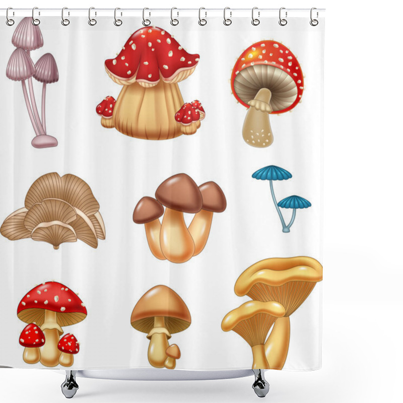 Personality  Illustration Of Mushroom Collection Shower Curtains