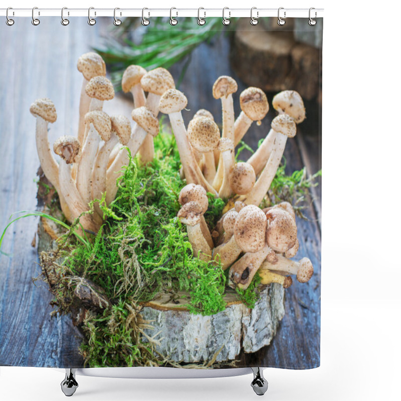 Personality  Group Of Wild Forest Mushrooms On Wooden Saw Cut Shower Curtains