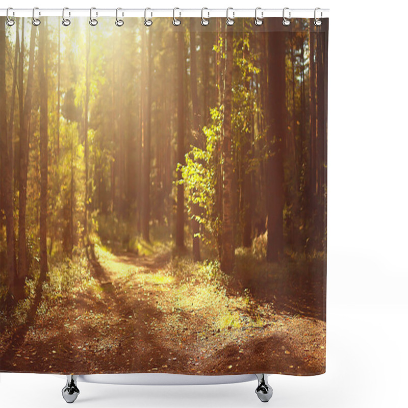 Personality  Autumn In The Coniferous Forest Landscape, Abstract View Of The Autumn Yellow Forest, Beautiful Nature Shower Curtains