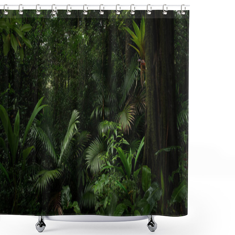 Personality  Tropical Rainforest In Costa Rica Shower Curtains