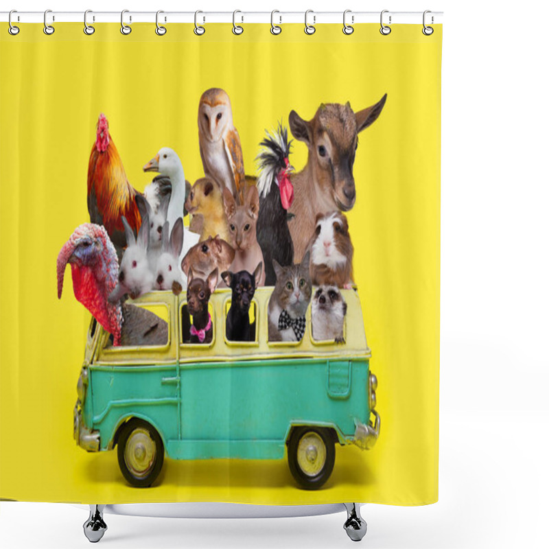 Personality  Funny Collage, Concept Animals In The Retro Toy Car, Summer Vacations Shower Curtains