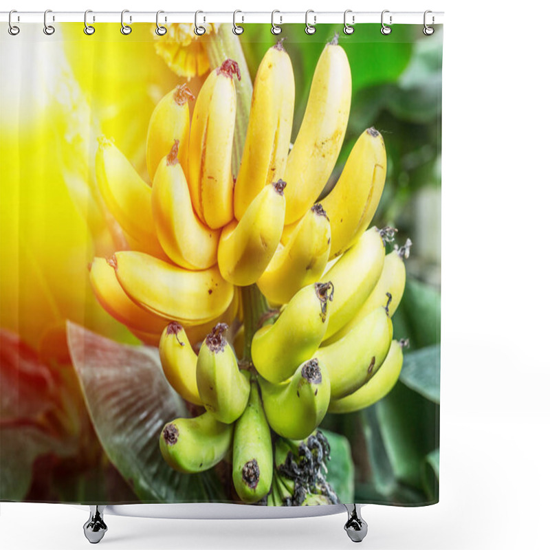 Personality  Ripe Bunch Of Bananas On The Palm. Shower Curtains