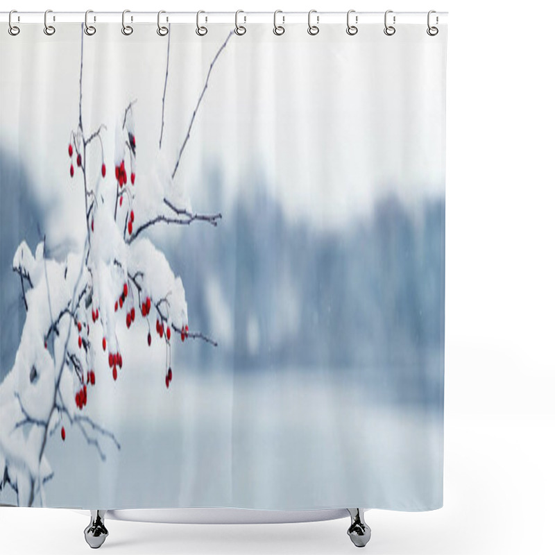 Personality  A Snow-covered Hawthorn Branch With Red Berries On A River Bank In Winter Shower Curtains