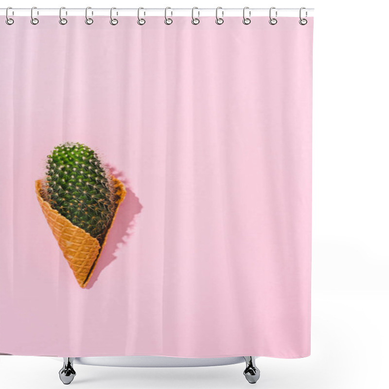 Personality  Top View Of Cactus Plant In Ice Cream Cone On Pink With Copy Space Shower Curtains