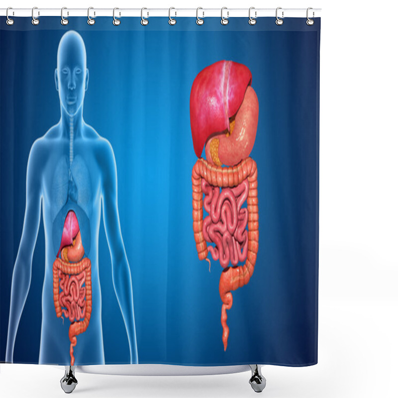 Personality  Digestive System Shower Curtains