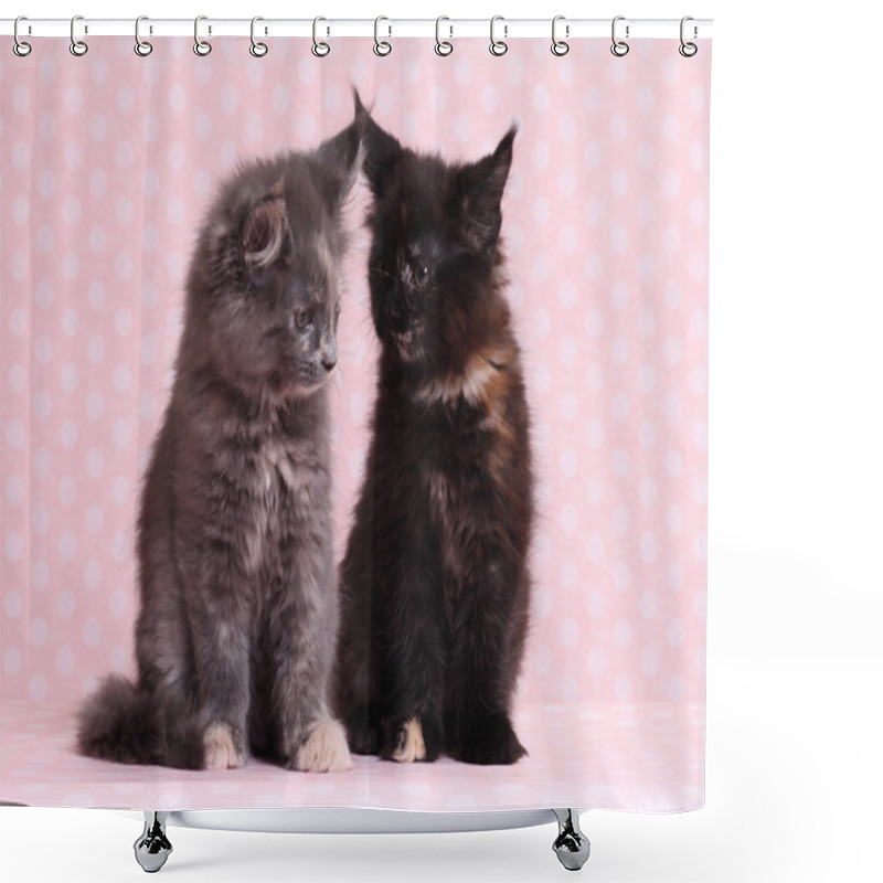 Personality  Cute Maine Coon Kitten Shower Curtains