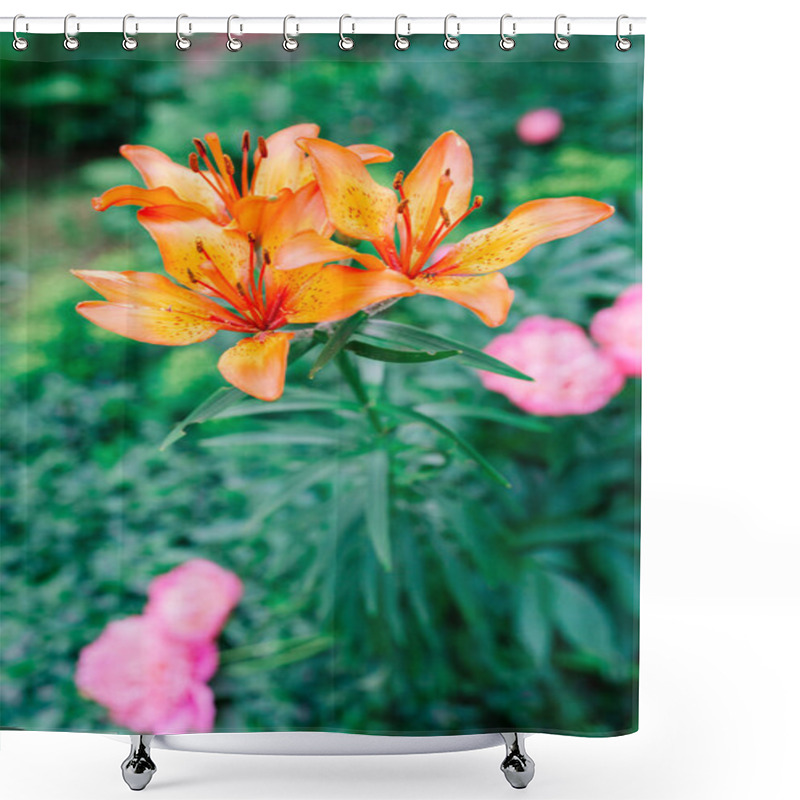 Personality  Spring Growing Flower And Nature That Comes Alive Shower Curtains