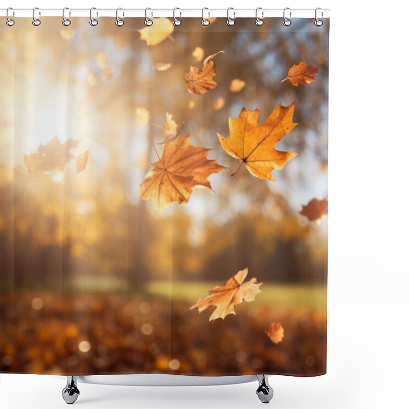 Personality  Lovely Closeup Of Falling Autumn Leaves With Vibrant Back Light From The Setting Sun Shower Curtains