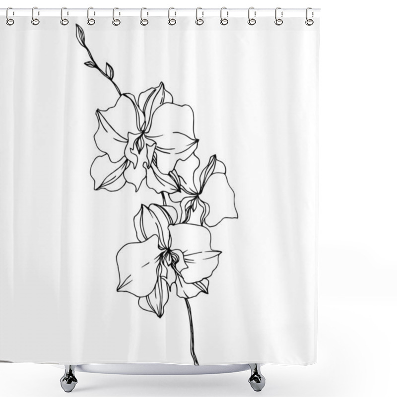 Personality  Vector Orchid Floral Botanical Flowers. Black And White Engraved Ink Art. Isolated Orchids Illustration Element. Shower Curtains