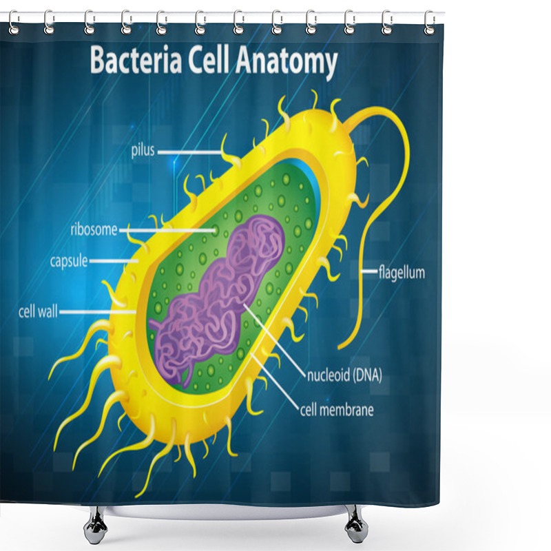 Personality  Bacteria Cell Structure Shower Curtains