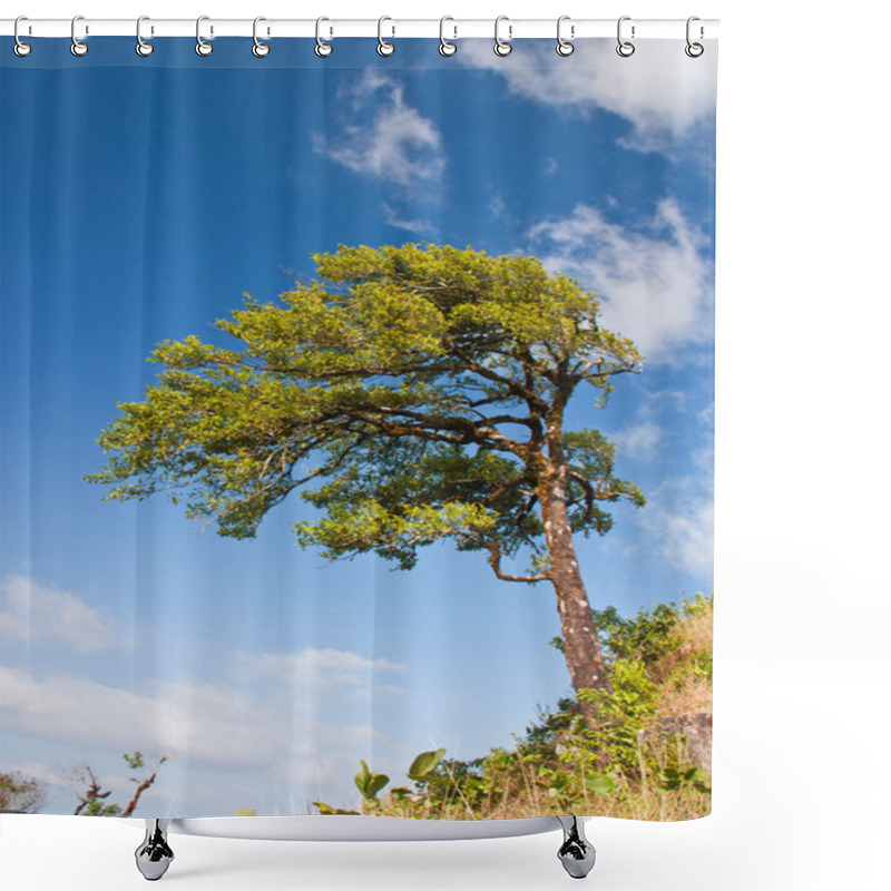 Personality  Trees On High. Shower Curtains