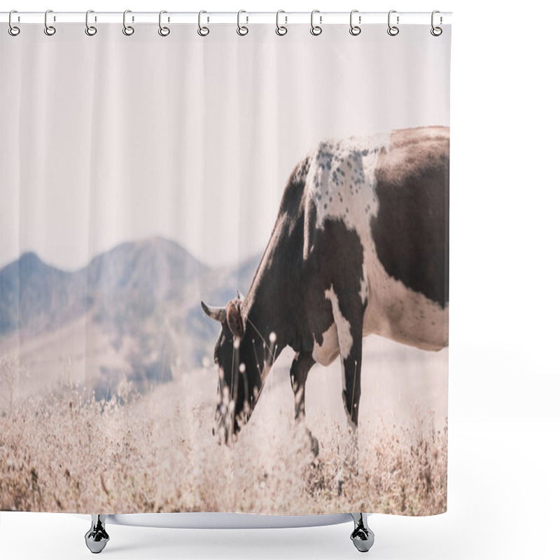 Personality  Cow Eating Grass In Autumn Pasture In Foggy Landscape In Georgia Shower Curtains