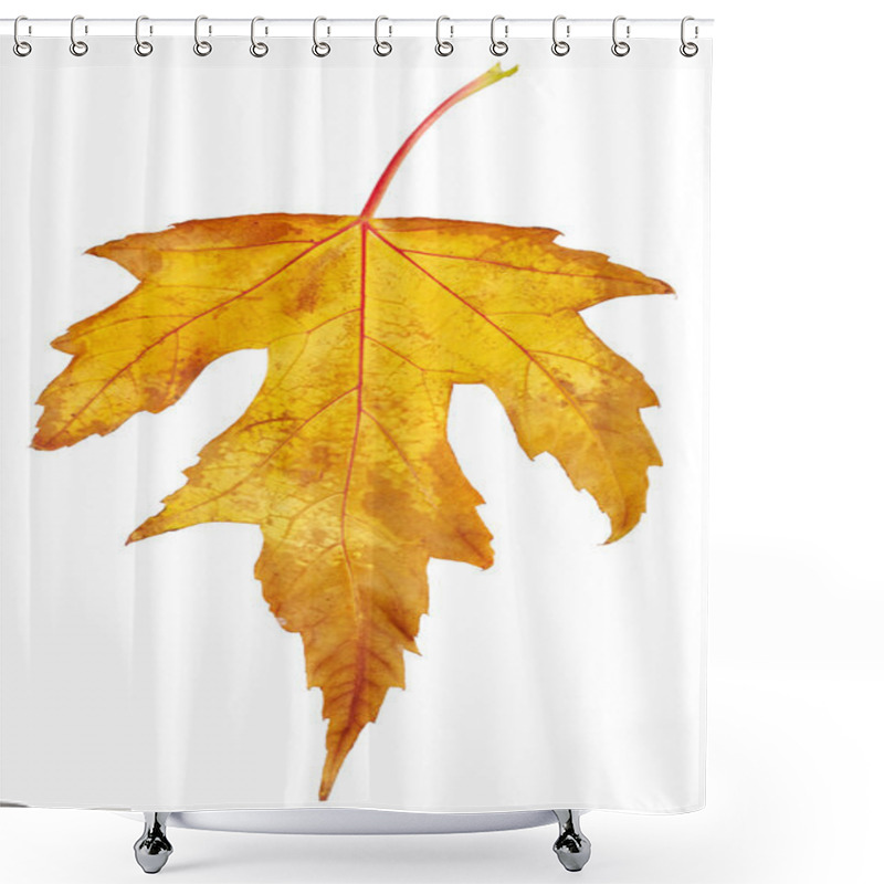 Personality  Maple Autumn Leaf Shower Curtains