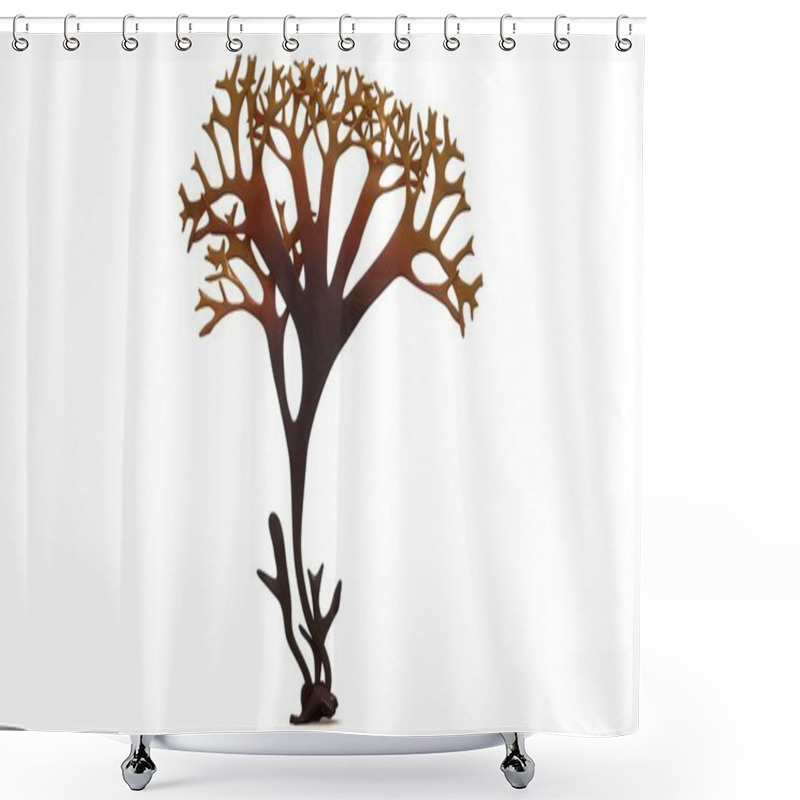 Personality  Chondrus, Irish Moss Shower Curtains