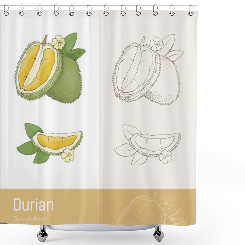 Personality  Durian Fruit With Section Shower Curtains