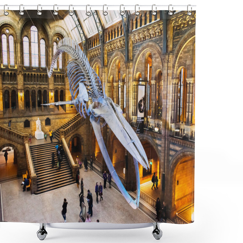 Personality  London, UK/Europe; 21/12/2019: Blue Whale Skeleton In The Main Hall Of The Natural History Museum Of London Shower Curtains