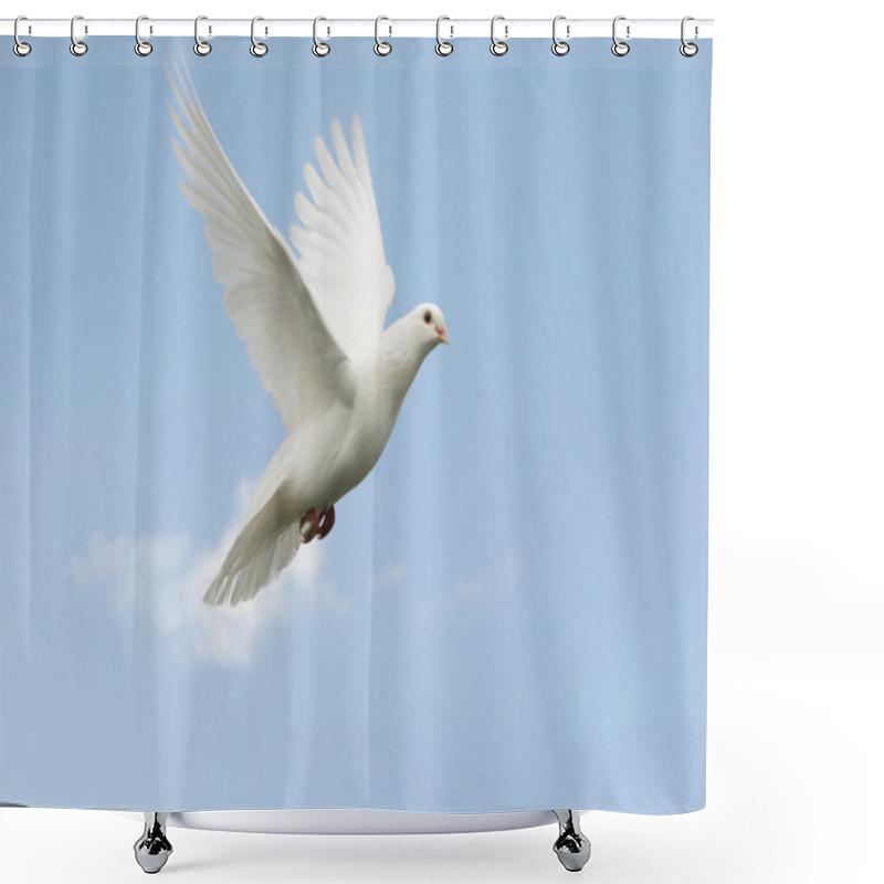 Personality  Beautiful White Dove Flying, Blue Sky Background Shower Curtains