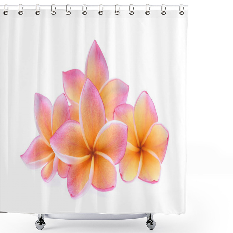 Personality  Frangipani Tropical Flower, Plumeria, Lanthom, Leelawadee Flower Shower Curtains