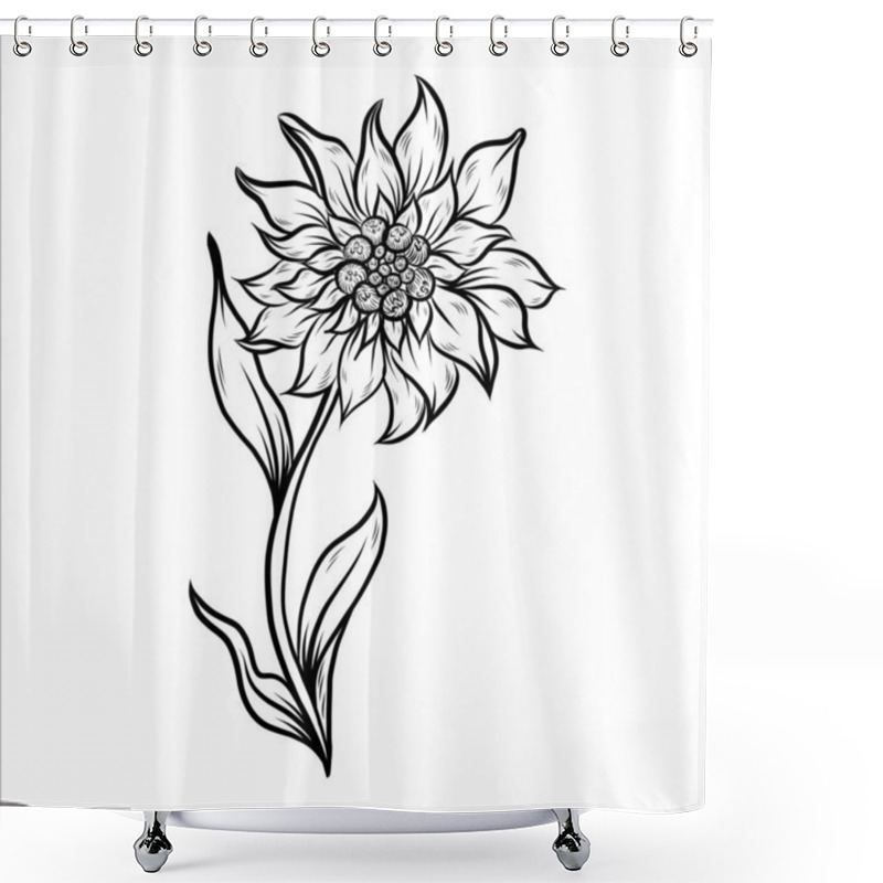 Personality  Edelweiss Flower Line Art. Hand Drawn Vector Floral Outlines. Shower Curtains