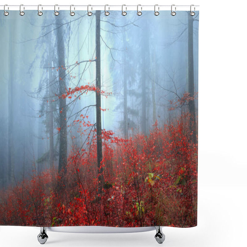 Personality  Beautiful Autumn Red Coloured Tree Leaves In Foggy Forest Shower Curtains