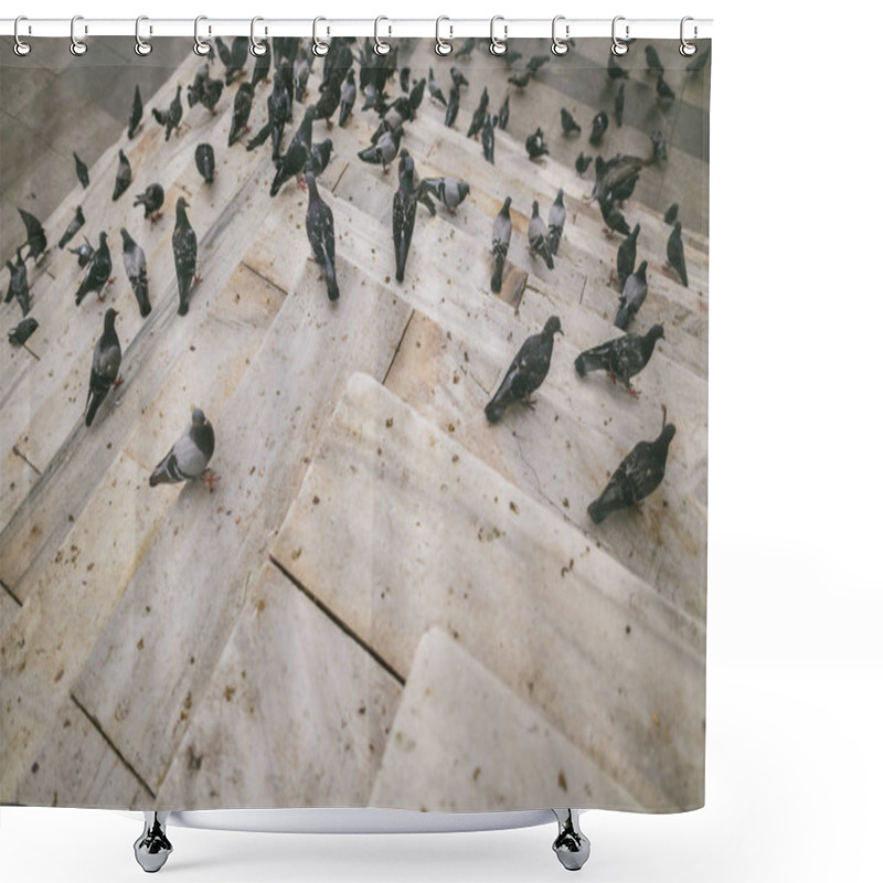 Personality  Pigeons Shower Curtains