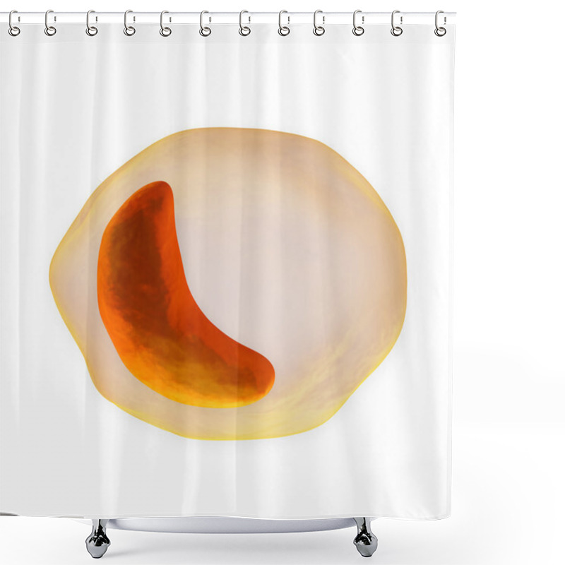 Personality  White Blood Cell - Monocyte Shower Curtains