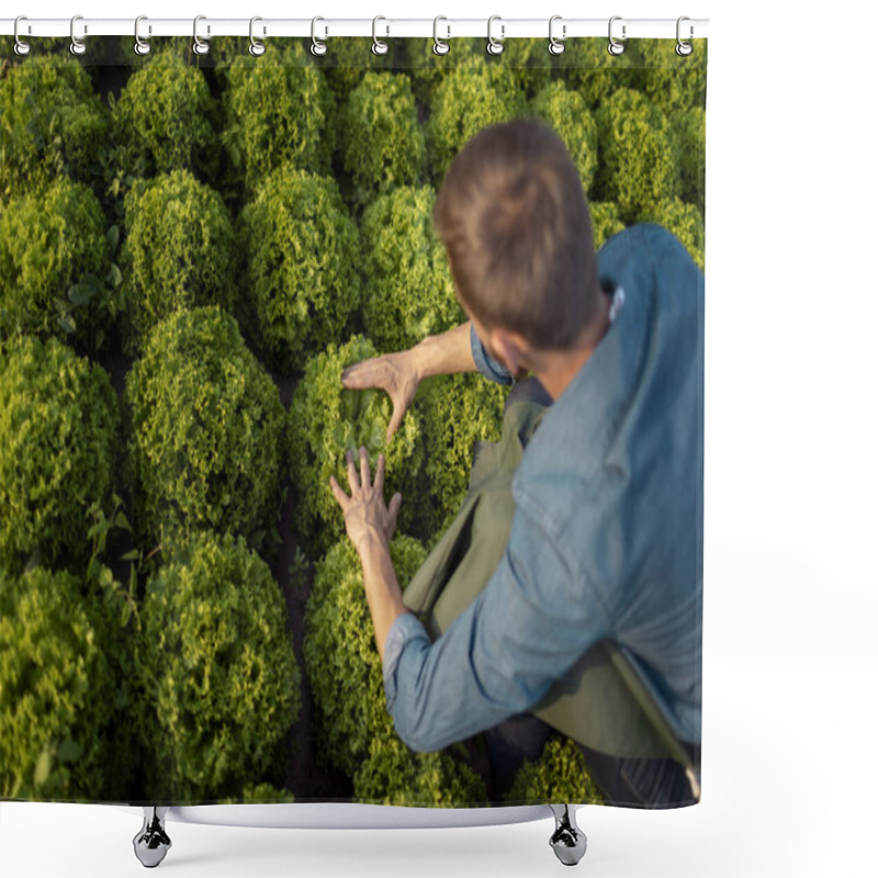 Personality  Male Worker Examining Lettuce Plantings Shower Curtains