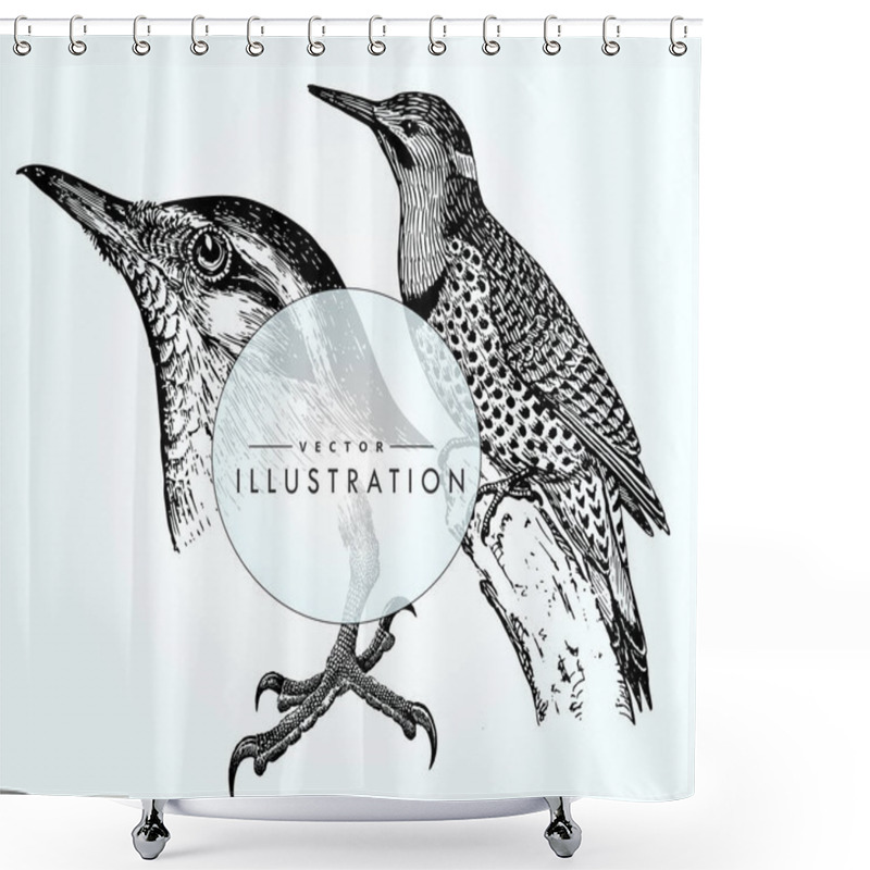 Personality  Set Birds Ornithology. Beautiful Bird Close-up - Detailed Realistic Vector Bird On Gradient Background Shower Curtains