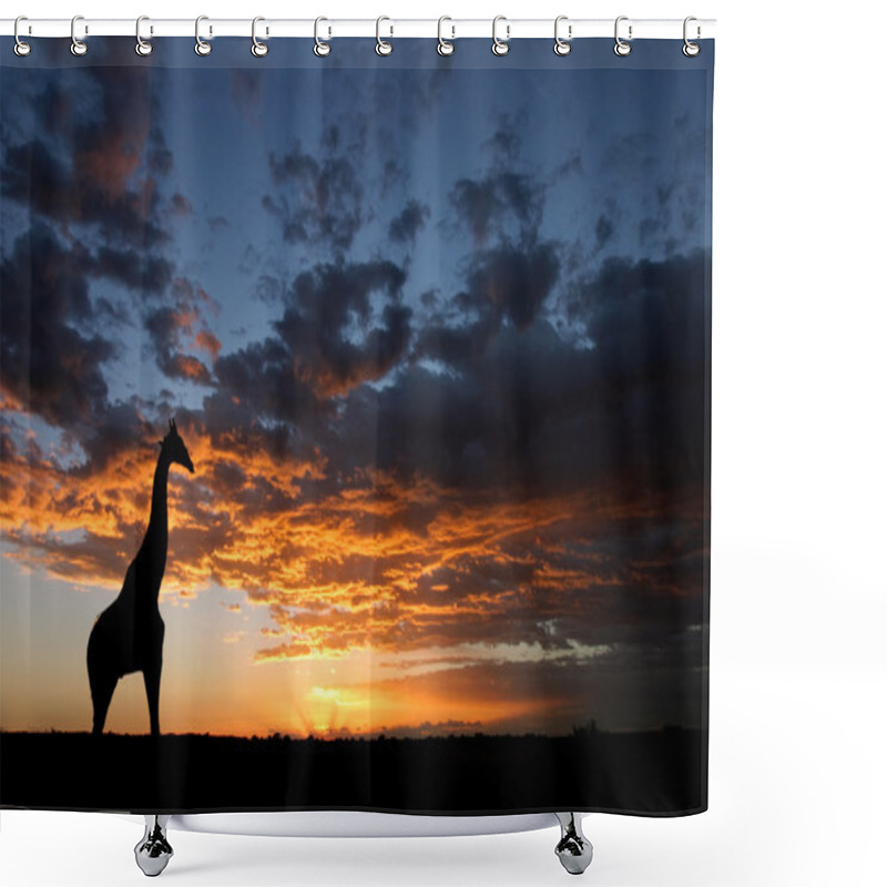 Personality  African Sunset Landscape Shower Curtains