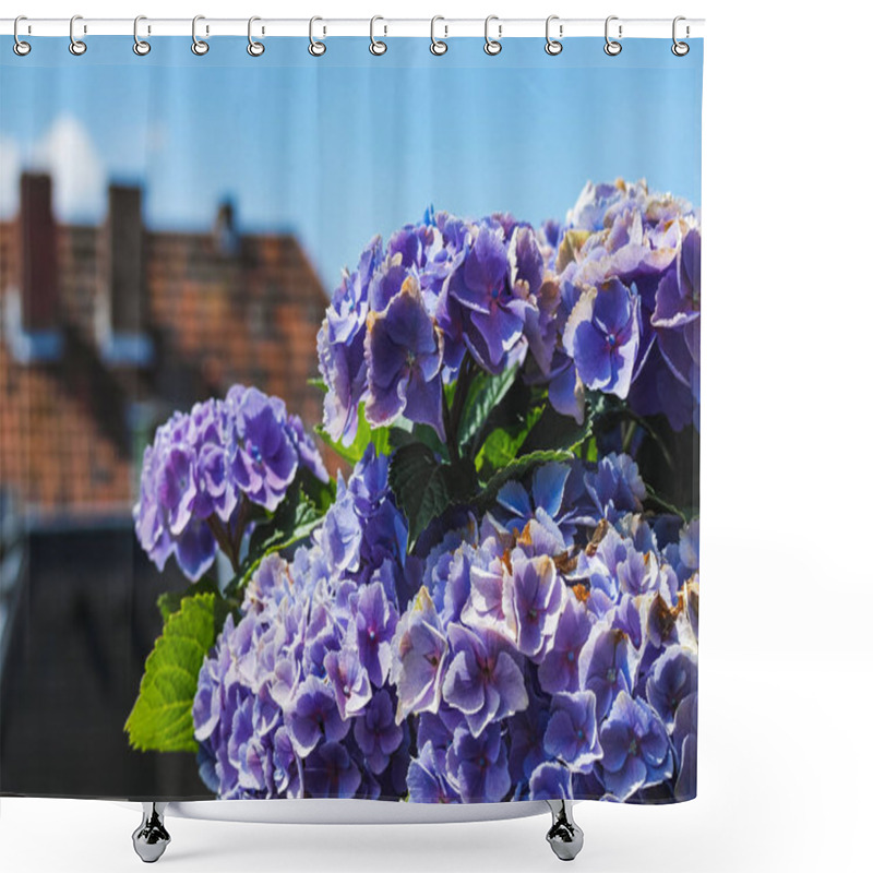 Personality  Bunch Of Beautiful Lilac Flowers Closeup With Blue Sky In Backgr Shower Curtains