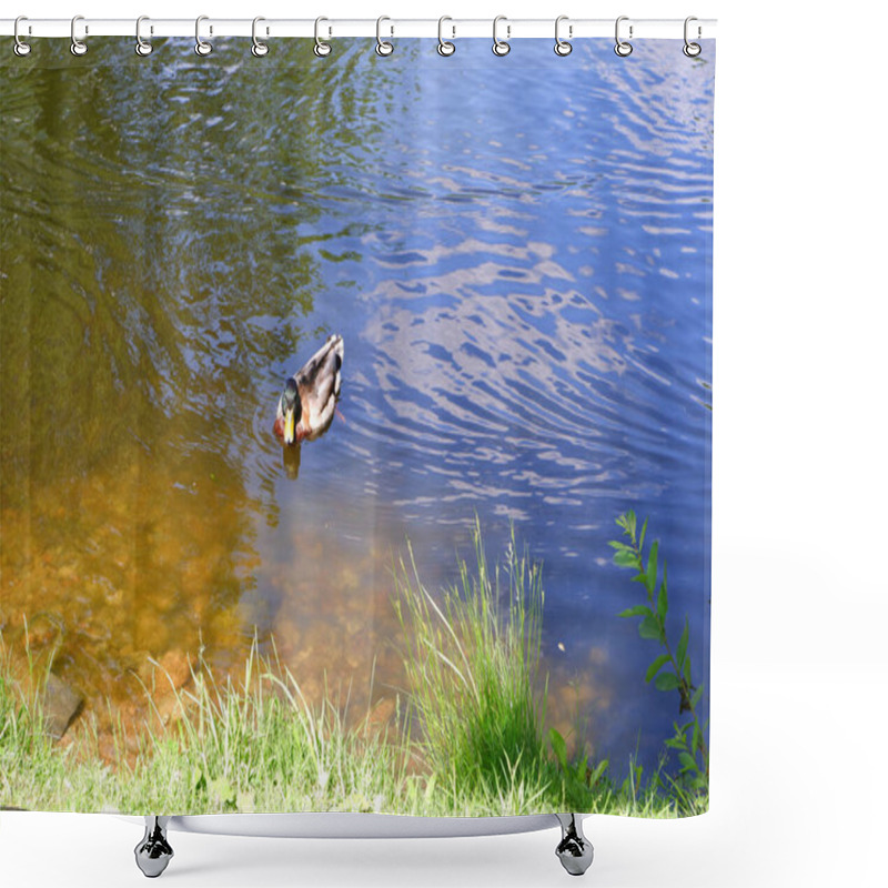 Personality  The Duck Swims In The Pond. Bird In The Water. Shower Curtains