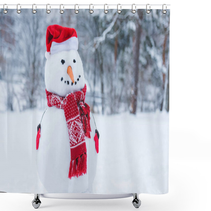 Personality  Close Up View Of Snowman In Santa Hat, Scarf And Mittens I Winter Park Shower Curtains