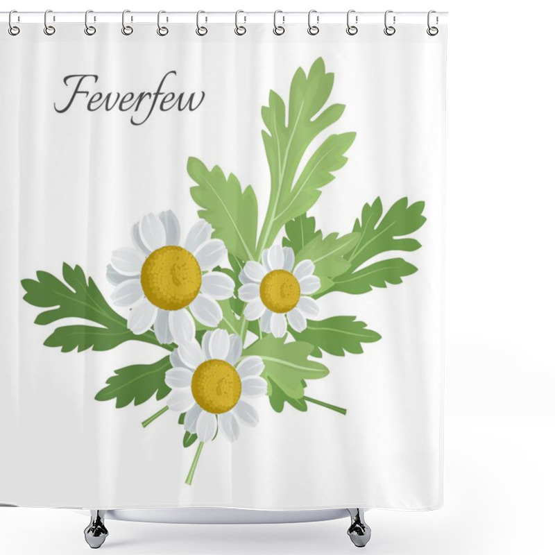 Personality  Feverfew Floral Element With Green Leaves Vector Illustration Shower Curtains