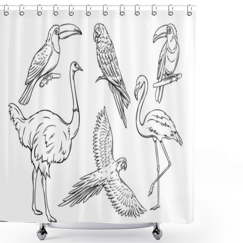 Personality  Exotic Birds, Hand Drawn Outline. Parrot, Flamingo, Ostrich And Toucan. Cartoon Iluustration For Summer Tropical Paradise Advertising Vacation Design. Retro Style. Shower Curtains