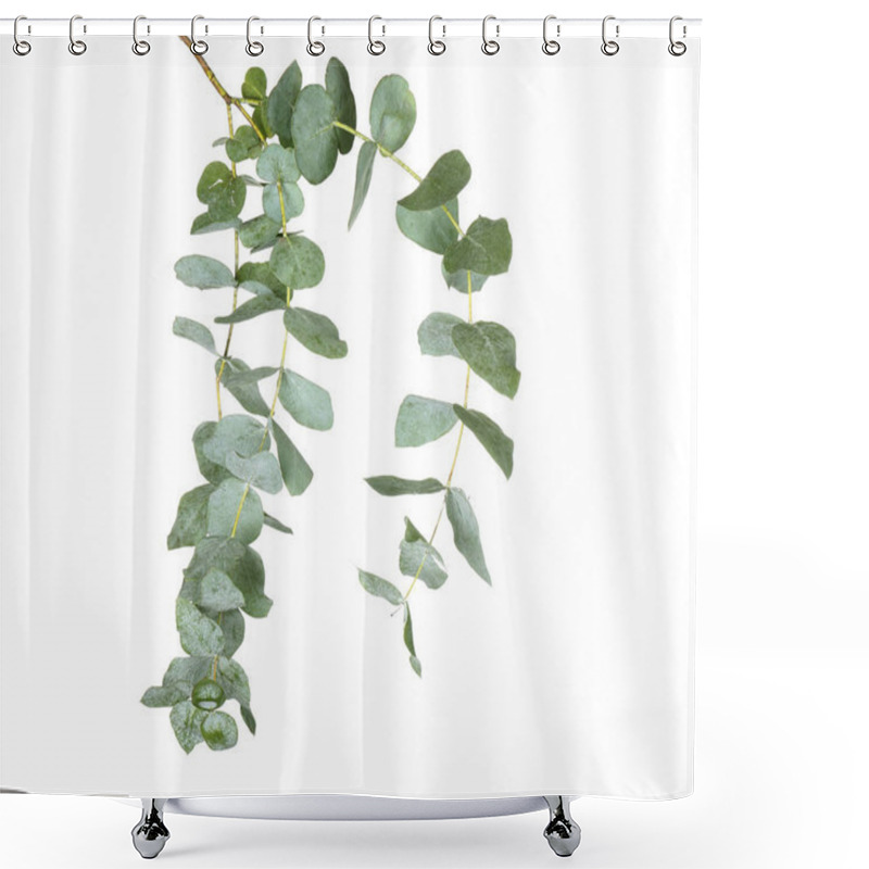 Personality  Green Eucalyptus Branch Shower Curtains