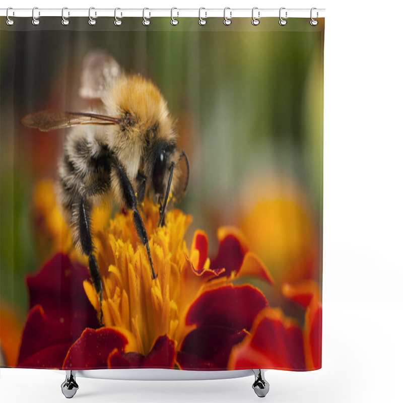 Personality  Bee At Work Shower Curtains