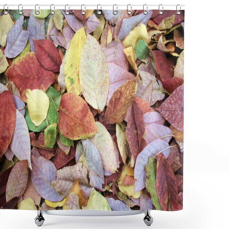 Personality  Autumn Leaves Shower Curtains