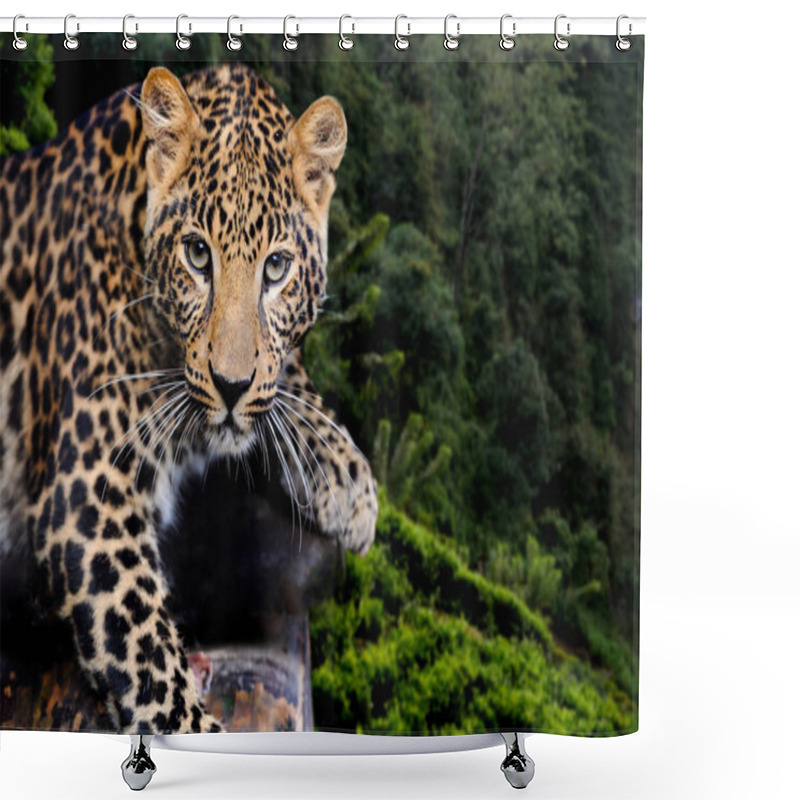 Personality  Leopard In Nature Shower Curtains