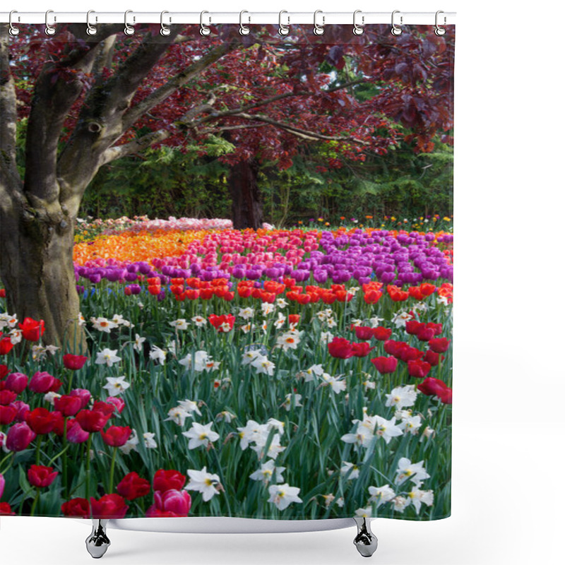 Personality  Flower Tulip Garden, Tulip Festival In Skagit Shower Curtains